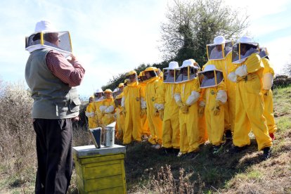 Trasladan 20.000 abejas al Solsonès desde Viladecans para salvarlas