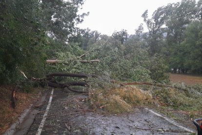 Vista del tejado de una casa que cayó ayer en la carretera N-260 a causa del temporal de viento en Adrall.