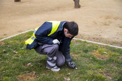 Un operario de la brigada recoge la basura de la calle mientras otro registra la incidencia o “punto negro” con el teléfono móvil.