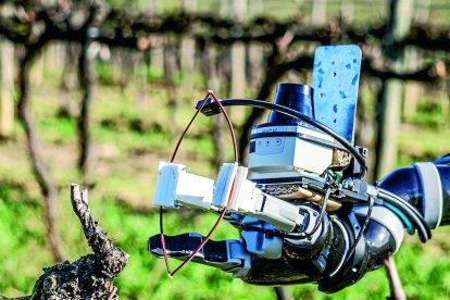 Robòtica i automatització,claus per a la competitivitatdel sector agrícola