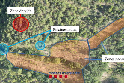 Un detenido al desmantelar una macroplantación con casi 5.000 plantas de marihuana en el Alt Urgell