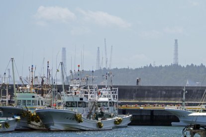 Comienza el vertido de agua tratada de Fukushima mientras siguen las protestas