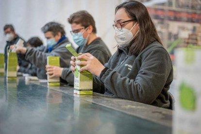Imágenes de archivo de diferentes actividades de las entidades leridanas que forman parte de la Federació ALLEM.