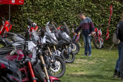 Alguns dels visitants que van recórrer el Saló de l’Automòbil de Mollerussa.