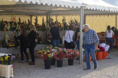 Passatge del terror al Secà de Sant Pere - Un any més l’associació de veïns del barri del Secà de Sant Pere de Lleida va organitzar un túnel del terror a la Casa Torre Queralt. El passatge, que es va inaugurar ahir, es podrà visitar fins a ...