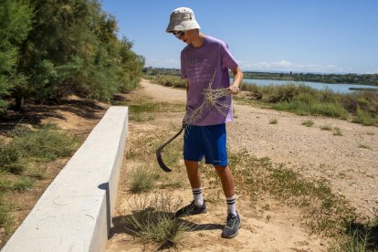 Un total de 24 jóvenes participan en el campo de trabajo del Estany d’Ivars i Vila-sana, que ayer recibieron la visita de Laia Girós.