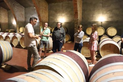 Globo aerostático para recorrer los viñedos desde el aire.