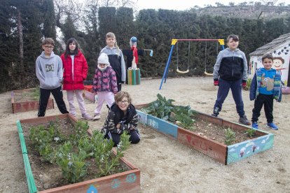 Escuelas rurales de nivel