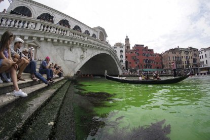 L'aigua del Gran Canal de Venècia es tenyeix d'un misteriós verd fluorescent