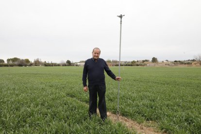 El pantano de Canelles, aguas arriba de la Pertusa, en Àger. En El Pont de Montañana, ayer registraba un caudal de 0,28 m3/sg.