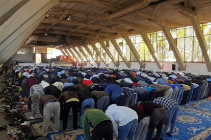 Centenares de fieles rezando el viernes en el Palau de Vidre.