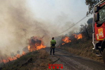 El incendio del Rosellón ya llega hasta Portbou y afecta a más de 700 hectáreas
