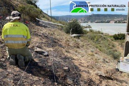 Investigación ayer en el punto donde se inició el fuego en Mequinensa, junto a un transformador.