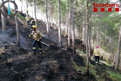 Vista aérea del fuego de ayer por la tarde en Artesa de Segre.