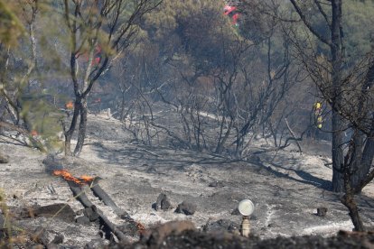 Vista general del incendio de Llançà desde el aire donde se observan las distintas zonas afectadas por las llamas.
