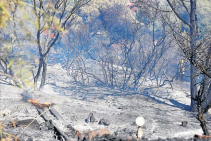 Estabilizado el incendio del Cap de Creus tras quemar 410 hectáreas