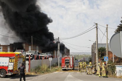 Anado Forrolla