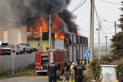 Anado Forrolla