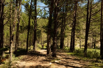 16a edició del concurs de fotos de vacances d'estiu