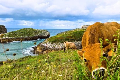 16a edició del concurs de fotos de vacances d'estiu