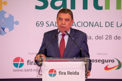 Imágenes de la Feria de Sant Miquel de Lleida