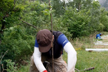 El proyecto ha generado empleo local.