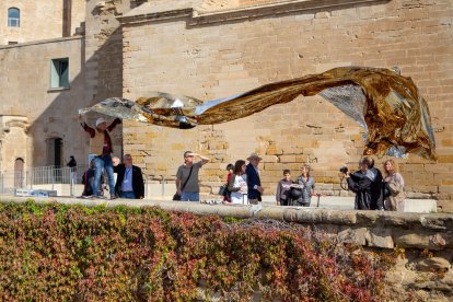 Dia de la Seu Vella de Lleida