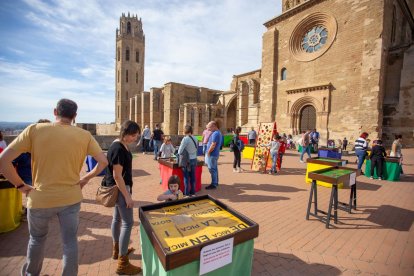 Dia de la Seu Vella de Lleida
