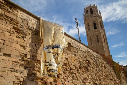 Dia de la Seu Vella de Lleida