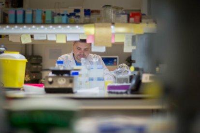 laboratori. No tota la recerca és en quiròfan. Marcelino Bermúdez fa recerca sobre patologies vasculars a l’IRB.