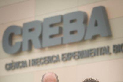laboratori. No tota la recerca és en quiròfan. Marcelino Bermúdez fa recerca sobre patologies vasculars a l’IRB.