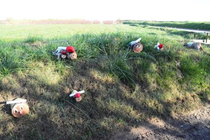 germans. L’Èric i la Nahia agafant el seu tronc de Nadal enmig d’un impressionant paisatge natural a Tiurana.