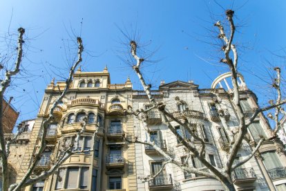 sense fulles. La poda dels arbres permet que puguem observar els detalls de façanes tan singulars com aquestes, que potser durant la resta de l’any passen més desapercebuts.
