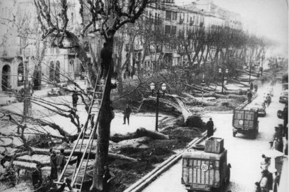 sense fulles. La poda dels arbres permet que puguem observar els detalls de façanes tan singulars com aquestes, que potser durant la resta de l’any passen més desapercebuts.