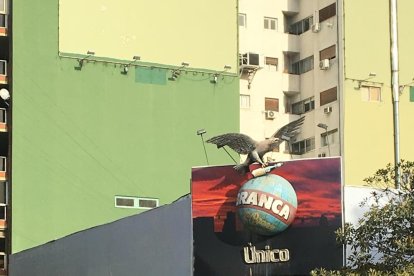 Barcelona. La ciutat dels editors s’ha trobat finalment amb la ciutat dels lectors, va escriure algú amb motiu de la FIL 2019. Barcelona ha tingut un gran protagonisme a la Fira, amb tota mena d’exposicions i de concerts.