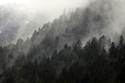 Pianos a quatre mans. Els pianistes Carles Marigó i Marco Mezquida presentaran el seu projecte a quatre mans Les set fulles del faig a l’església de Son.