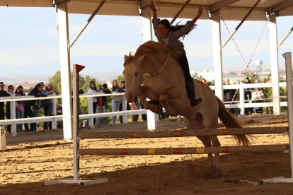 exit de participació. Més de 70 ramaderies van viatjar fins a Mollerussa per mostrar els seus millors exemplars.