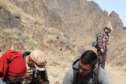 estudi. L’animal es captura amb finalitat científica, estudiar-lo i posar-li un collar GPS que permet observar-lo des de casa.