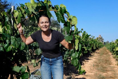 Els vins actuals. El celler acaba de crear Rubiòls. Els seus predecessors són SòlsXarel i Flor Xarel.