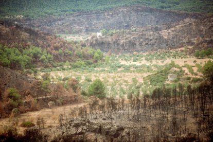 ascó. Des de les finques situades al sud del terme de Llardecans la Central Nuclear és relativament a prop en línia recta. A la foto diverses finques cremades i altres que van salvar-se.