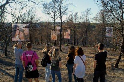lily brik. Llenç plàstic pintat amb esprais acrílics sobre un fons transparent que deixa veure la desolació de l’entorn.