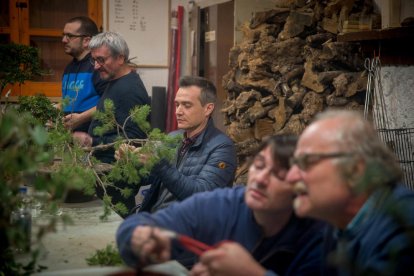 fruita. Sobretot es treballen en bonsai aquelles espècies que fan fruits d’acord amb la mida de l’arbre.