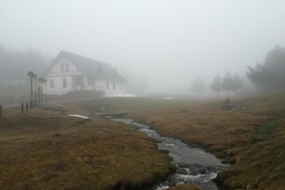 primavera. El Paco descansa gaudint d’una bona lectura.