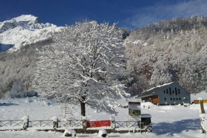 primavera. El Paco descansa gaudint d’una bona lectura.