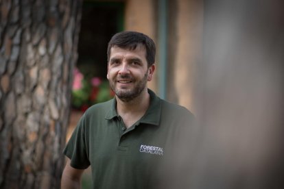 contrastos. Les mateixes cigonyes que posen els nius en boscos de ribera salvatges s’alimenten als abocadors.