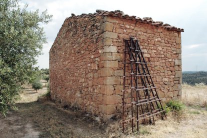 arneres. Construccions poc profundes, encarades a l’est per protegir-les del vent, per posar-hi els ruscs d’abelles.