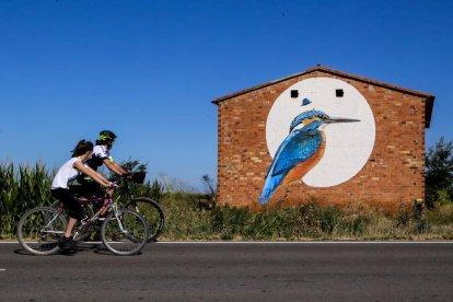 marellenga de bigotis. La façana d’aquesta casa està habitada per aquesta bonica espècie.