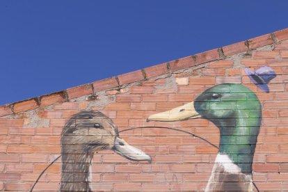 marellenga de bigotis. La façana d’aquesta casa està habitada per aquesta bonica espècie.