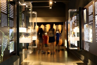 Museus en dies de pandèmia