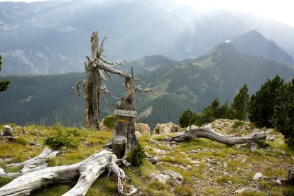 pallars sobiràmilla vertical d’àreu